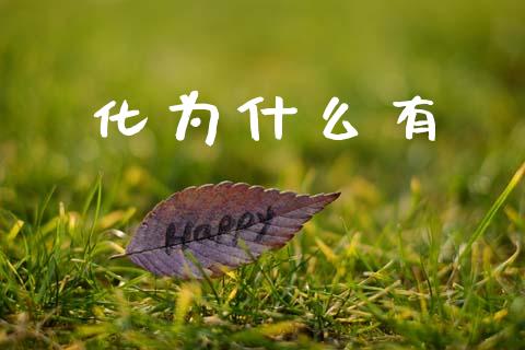 化为什么有_https://www.kuaijiepai.net_股票理论_第1张
