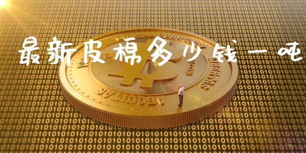 最新皮棉多少钱一吨_https://www.kuaijiepai.net_国际期货_第1张