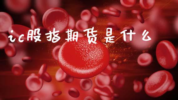 ic股指期货是什么_https://www.kuaijiepai.net_期货资讯_第1张
