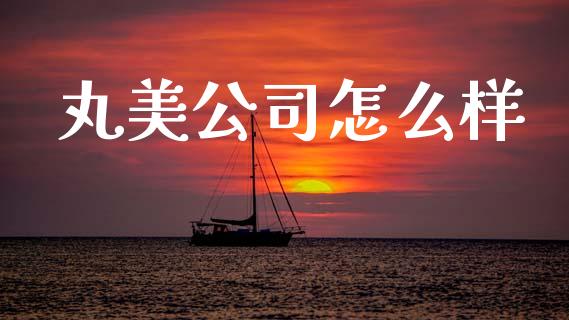 丸美公司怎么样_https://www.kuaijiepai.net_投资理财_第1张