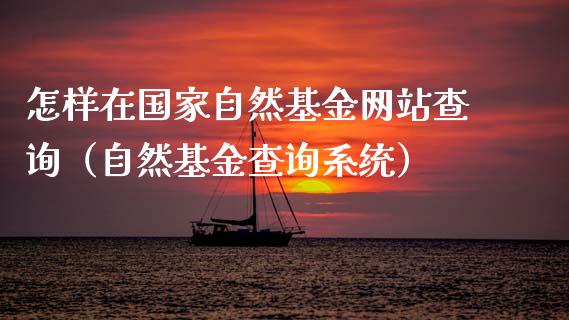 怎样在国家自然基金网站查询（自然基金查询系统）_https://www.kuaijiepai.net_投资理财_第1张