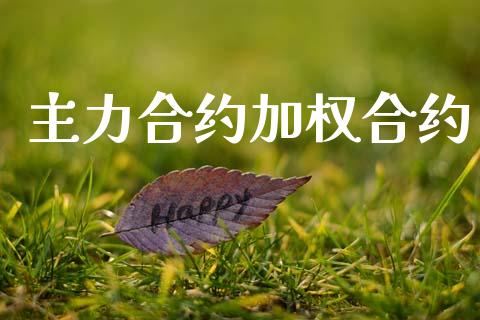 主力合约加权合约_https://www.kuaijiepai.net_期货在线_第1张