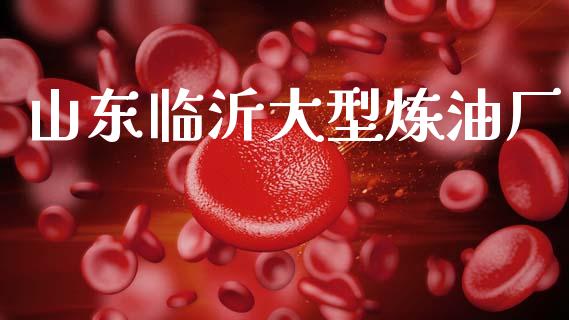 山东临沂大型炼油厂_https://www.kuaijiepai.net_期货在线_第1张