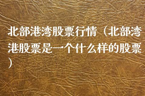 北部港湾股票行情（北部湾港股票是一个什么样的股票）_https://www.kuaijiepai.net_国际股建_第1张