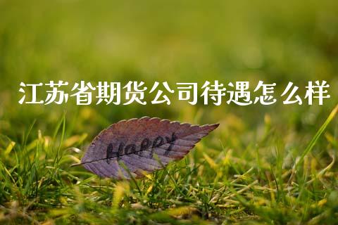 江苏省期货公司待遇怎么样_https://www.kuaijiepai.net_国际股建_第1张