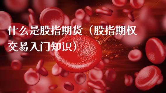 什么是股指期货（股指期权交易入门知识）_https://www.kuaijiepai.net_期货资讯_第1张