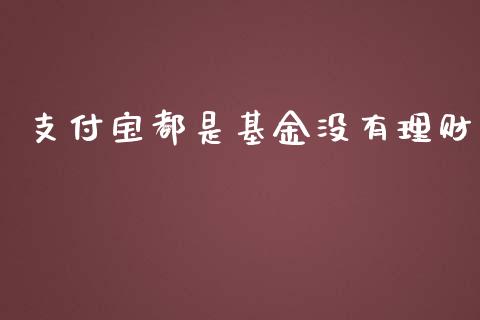 支付宝都是基金没有理财_https://www.kuaijiepai.net_投资理财_第1张