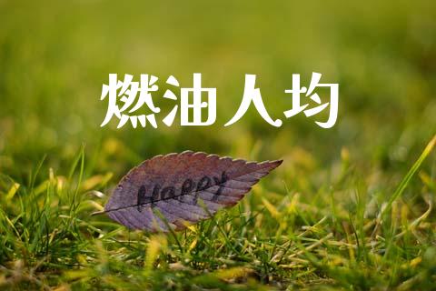 燃油人均_https://www.kuaijiepai.net_国际期货_第1张