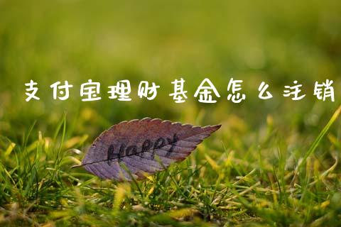 支付宝理财基金怎么注销_https://www.kuaijiepai.net_投资理财_第1张