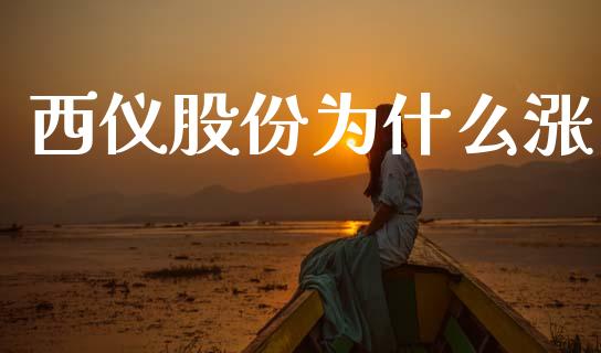 西仪股份为什么涨_https://www.kuaijiepai.net_股票理论_第1张