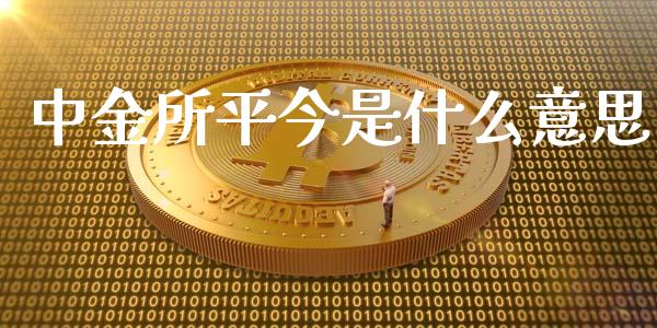 中金所平今是什么意思_https://www.kuaijiepai.net_期货理财_第1张