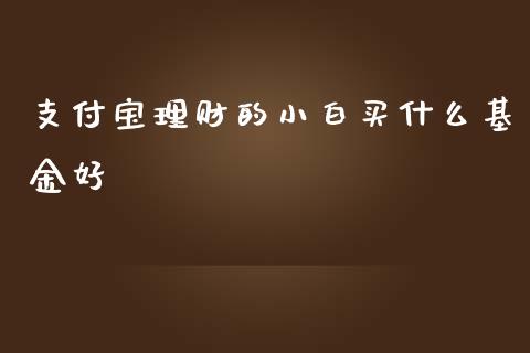 支付宝理财的小白买什么基金好_https://www.kuaijiepai.net_投资理财_第1张