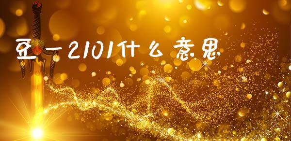 豆一2101什么意思_https://www.kuaijiepai.net_股票理论_第1张