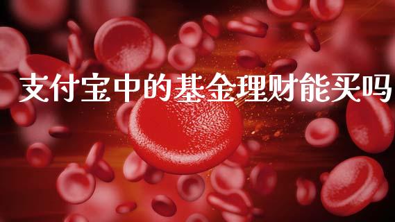 支付宝中的基金理财能买吗_https://www.kuaijiepai.net_投资理财_第1张