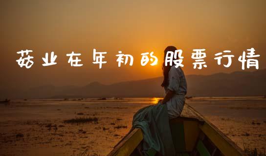 菇业在年初的股票行情_https://www.kuaijiepai.net_国际股建_第1张