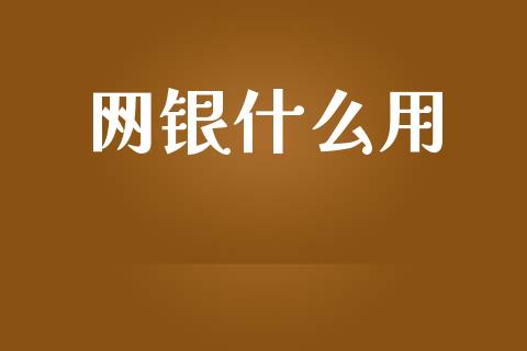 网银什么用_https://www.kuaijiepai.net_投资理财_第1张