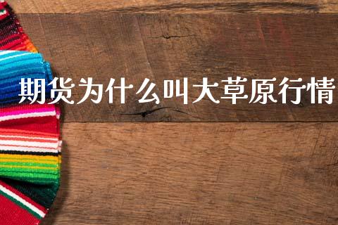 期货为什么叫大草原行情_https://www.kuaijiepai.net_国际期货_第1张