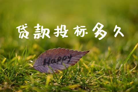 贷款投标多久_https://www.kuaijiepai.net_期货在线_第1张