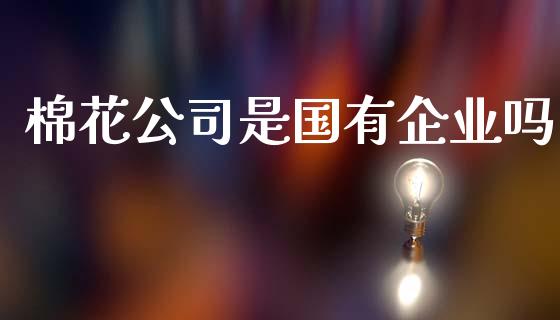 棉花公司是国有企业吗_https://www.kuaijiepai.net_期货资讯_第1张