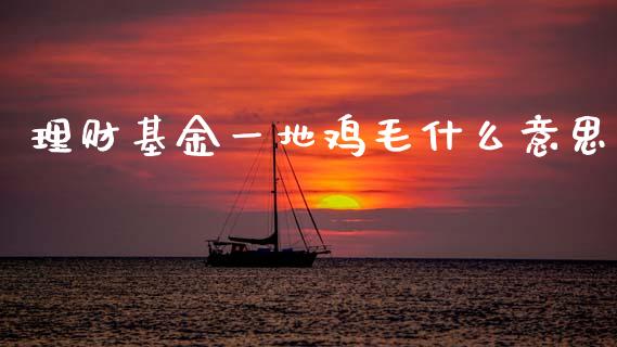 理财基金一地鸡毛什么意思_https://www.kuaijiepai.net_期货理财_第1张