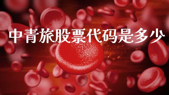 中青旅股票代码是多少_https://www.kuaijiepai.net_投资理财_第1张