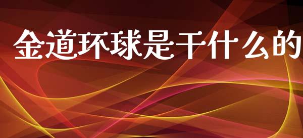 金道环球是干什么的_https://www.kuaijiepai.net_新股新闻_第1张