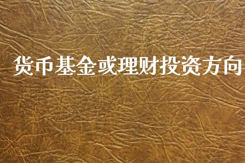 货币基金或理财投资方向_https://www.kuaijiepai.net_投资理财_第1张