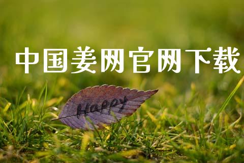 中国姜网官网下载_https://www.kuaijiepai.net_期货资讯_第1张