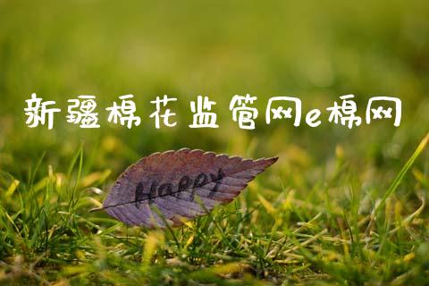 新疆棉花监管网e棉网_https://www.kuaijiepai.net_期货资讯_第1张