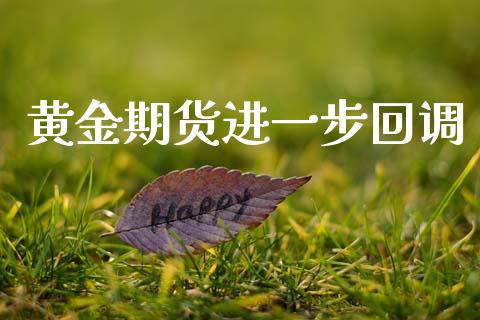 黄金期货进一步回调_https://www.kuaijiepai.net_国际期货_第1张
