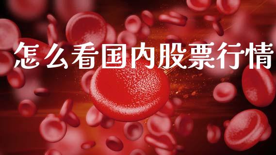 怎么看国内股票行情_https://www.kuaijiepai.net_国际股建_第1张