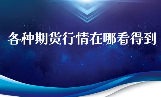 各种期货行情在哪看得到_https://www.kuaijiepai.net_国际期货_第1张