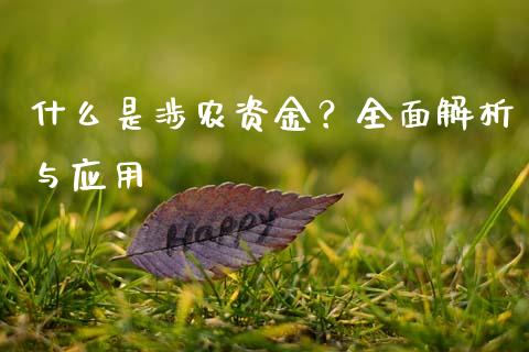 什么是涉农资金?全面解析与应用_国际股建_第1张_快捷排财经网 什么是涉农资金?全面解析与应用_https://www.kuaijiepai.net_国际股建_第1张