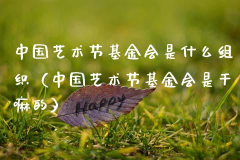 中国艺术节基金会是什么组织（中国艺术节基金会是干嘛的）_https://www.kuaijiepai.net_投资理财_第1张