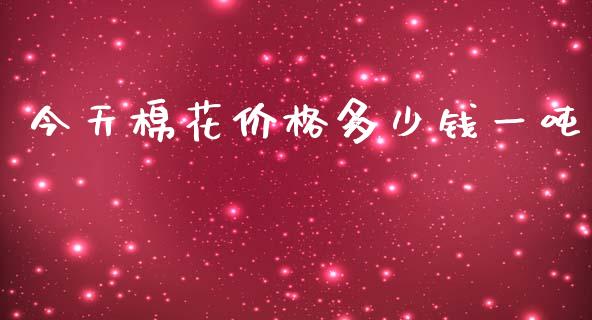 今天棉花价格多少钱一吨_https://www.kuaijiepai.net_期货资讯_第1张