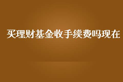 买理财基金收手续费吗现在_https://www.kuaijiepai.net_期货理财_第1张