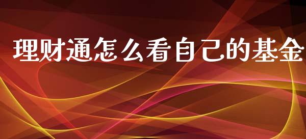 理财通怎么看自己的基金_https://www.kuaijiepai.net_期货理财_第1张
