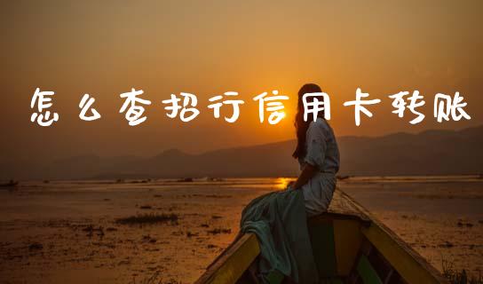 怎么查招行信用卡转账_https://www.kuaijiepai.net_期货在线_第1张