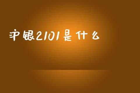 沪银2101是什么_https://www.kuaijiepai.net_期货在线_第1张