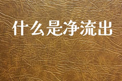 什么是净流出_https://www.kuaijiepai.net_期货理财_第1张