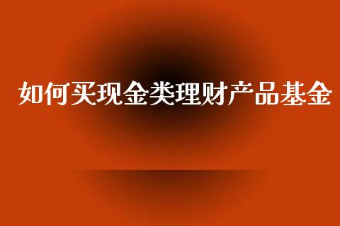如何买现金类理财产品基金_https://www.kuaijiepai.net_期货理财_第1张