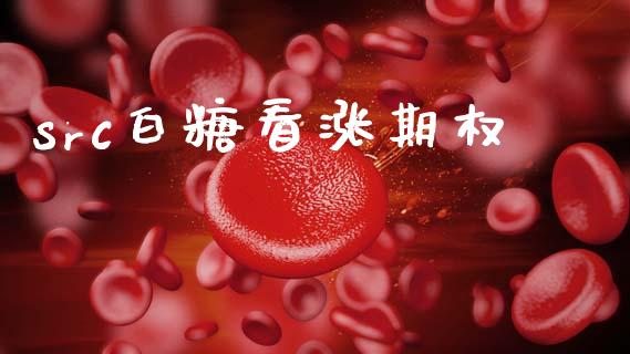 src白糖看涨期权_https://www.kuaijiepai.net_股票理论_第1张