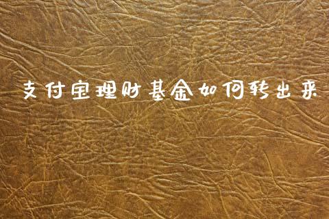 支付宝理财基金如何转出来_https://www.kuaijiepai.net_期货理财_第1张