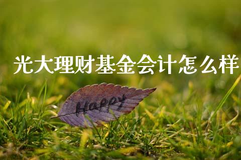 光大理财基金会计怎么样_https://www.kuaijiepai.net_投资理财_第1张