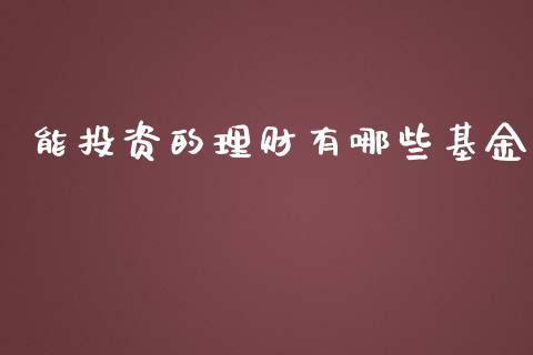 能投资的理财有哪些基金_https://www.kuaijiepai.net_投资理财_第1张