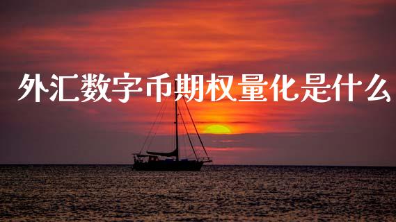 外汇数字币期权量化是什么_https://www.kuaijiepai.net_期货资讯_第1张