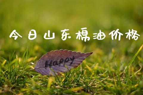 今日山东棉油价格_https://www.kuaijiepai.net_期货资讯_第1张