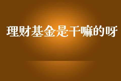 理财基金是干嘛的呀_https://www.kuaijiepai.net_投资理财_第1张