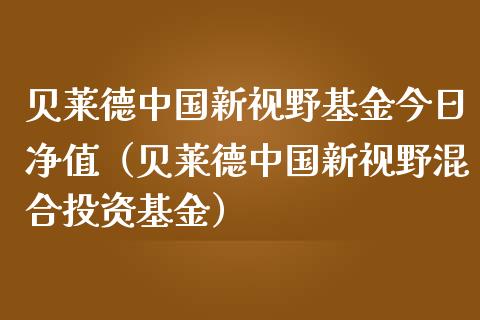 贝莱德中国新视野基金今日净值（贝莱德中国新视野混合投资基金）_https://www.kuaijiepai.net_期货理财_第1张