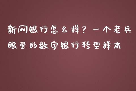 新网银行怎么样？一个老兵眼里的数字银行转型样本_https://www.kuaijiepai.net_期货资讯_第1张